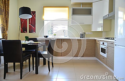 Superb house kitchen interior with appliances