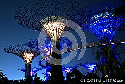 Supertrees in the new botanical gardens , Singapore