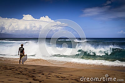 Surf at Napili Bay, Maui, Hawaii