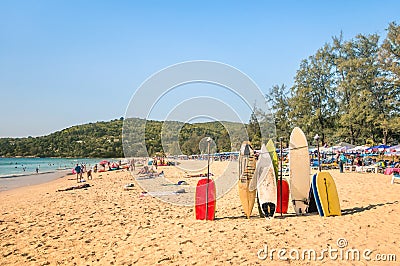 Surfboards at a tropical beach - Extreme sport body boards