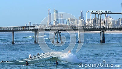 Timezone surfers paradise coupons