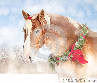 Sweet Christmas themed image of a draft horse