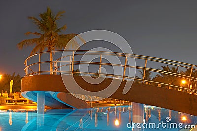 Swimming pool, night and palm trees
