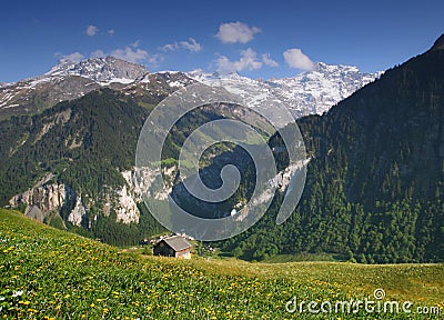 Swiss Alps In Summer Stock Image - Image: 32