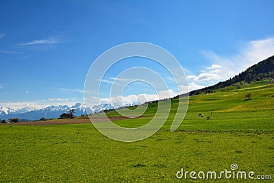 Swiss landscape countryside during spring