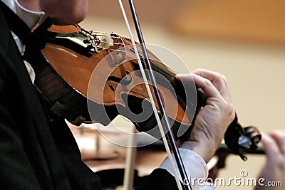 Symphony Violin