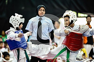 Taekwondo Tournament