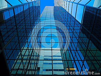 Tall Mirrored Office Tower