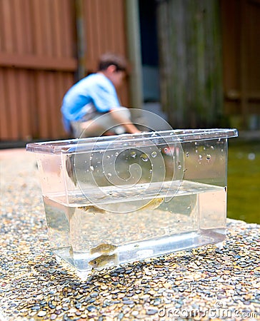 Boy Awaits For Little Fish To Swim Into His Ne