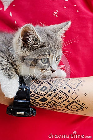Tattooed hand with cat