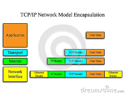 TCP/IP Network Model