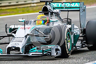 Team Merceces F1, Lewis Hamilton, 2014