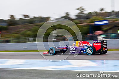 Team Red Bull Racing F1, Daniel Ricciardo, 2014