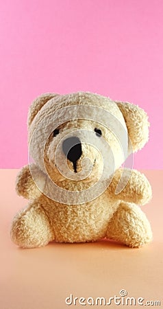 Teddy bear