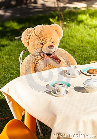 Teddy bear sitting behind table and drinking tea