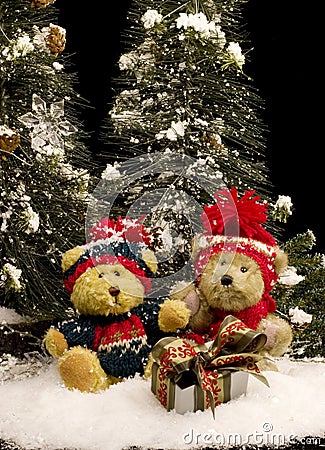 Teddy Bears with Gift - vertical