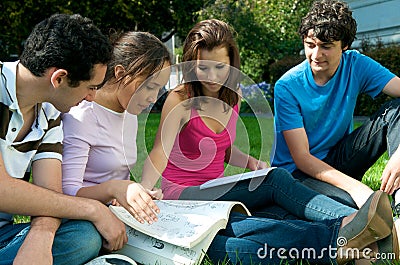 Teenagers studying outdoor