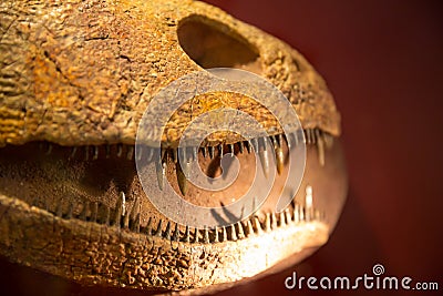 dinosaur with sharp teeth