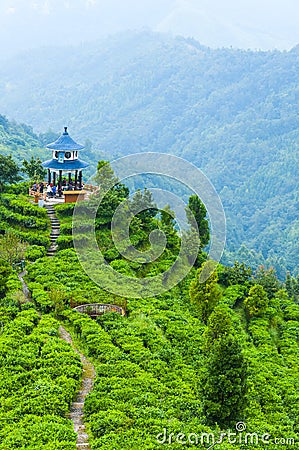Temple on the tea mountain