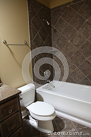 Tennesee Home Guest Bathroom