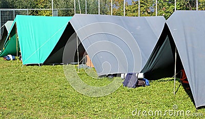 Tents set up in a campground