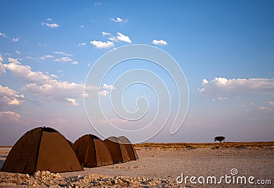 Tents wild camping