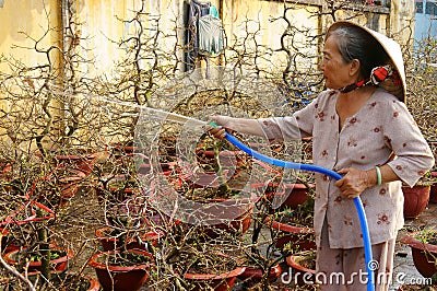 essay about lunar new year in viet nam essay about lunar new year in viet nam