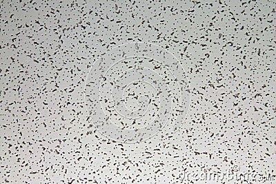 Texture - Ceiling Tile