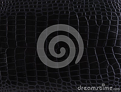 Texture of a crocodile leather