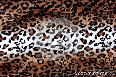 Texture of leopard skin background