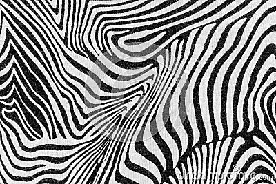 Texture of print fabric stripes zebra