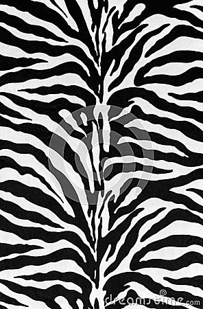 Texture of zebra skin