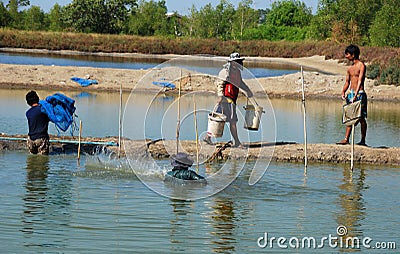 Thai Fish Farm Workers