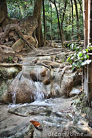 Thailand - national park