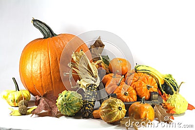 Thanksgiving Day. Stock Image - Image: 32715