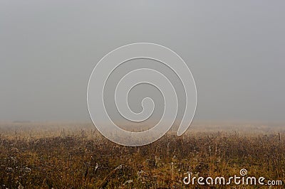 Thick Fog over Field in Indian Summer