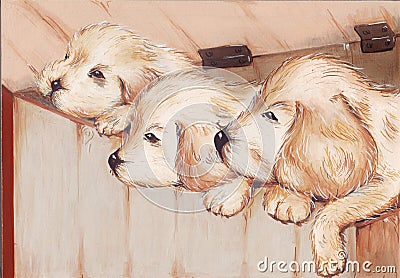 Three puppies