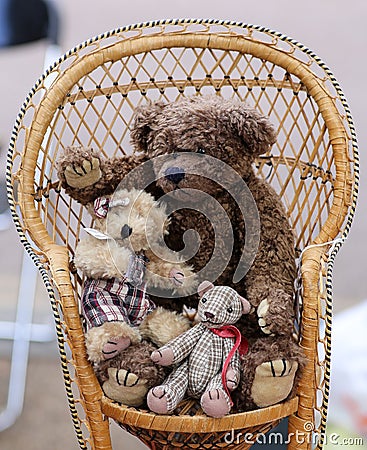Three Teddy Bears on Chair