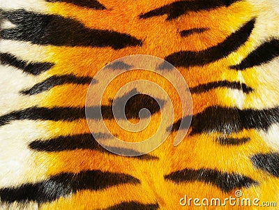 Tiger fur