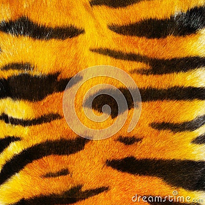 Tiger fure