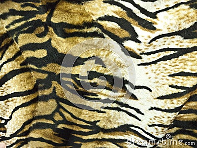 Tiger Skin Background