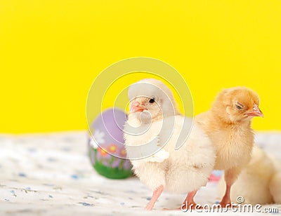 Tiny Easter chicks with hand painted Easter eggs