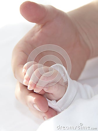 Tiny hand of baby with dad