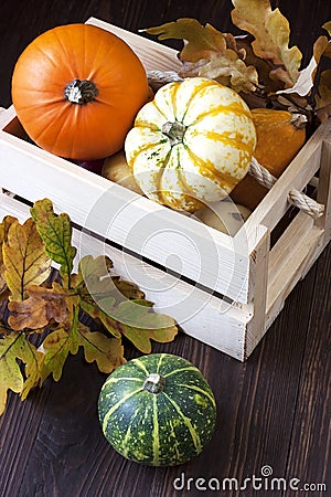 Tiny pumpkins in wooden box on table