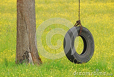 Tire Swing in Yellow