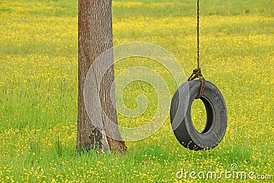 Tire Swing in Yellow