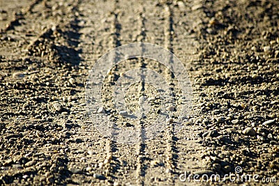 Tire track on the dirt