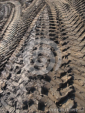 Tire tracks