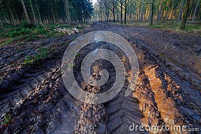 Tire tracks in mud