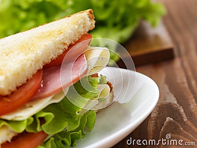 Toasted sandwich with ham, cheese and vegetables